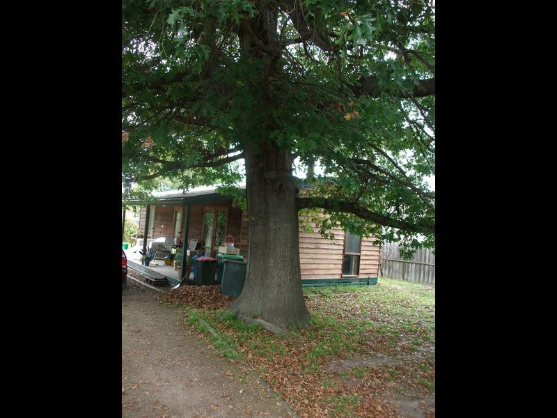 55 McEachern Street, Bairnsdale VIC 3875