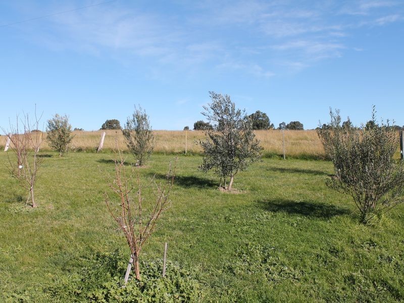 18 Mabel Drive, Nicholson VIC 3882