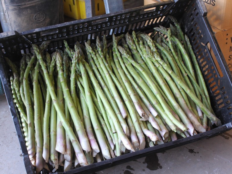 LINDENOW VEGETABLE FARM; MITCHELL RIVER VALLEY, Wuk Wuk VIC 3875