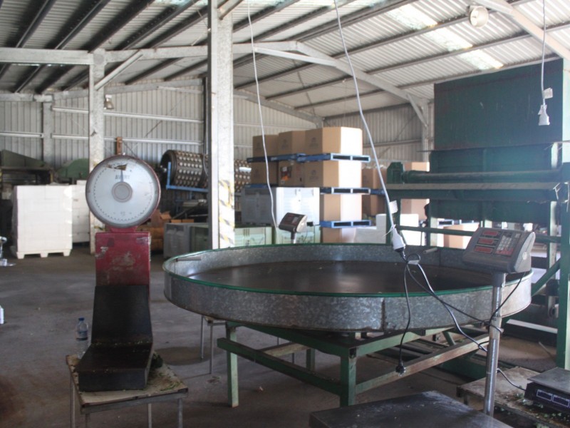 LINDENOW VEGETABLE FARM; MITCHELL RIVER VALLEY, Wuk Wuk VIC 3875