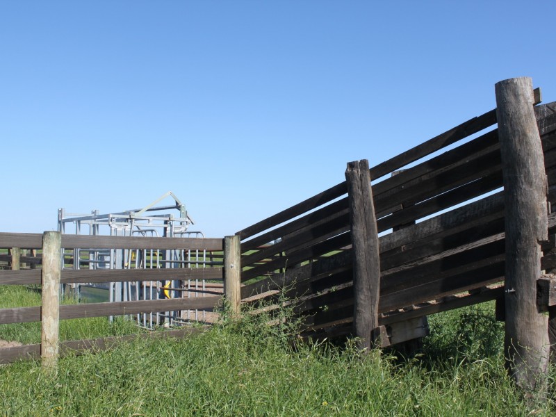 LINDENOW VEGETABLE FARM; MITCHELL RIVER VALLEY, Wuk Wuk VIC 3875