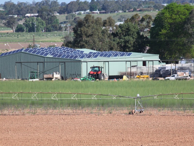 LINDENOW VEGETABLE FARM; MITCHELL RIVER VALLEY, Wuk Wuk VIC 3875