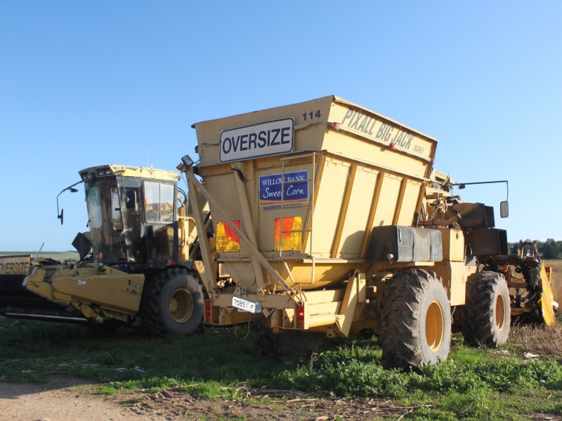 LINDENOW VEGETABLE FARM; MITCHELL RIVER VALLEY, Wuk Wuk VIC 3875