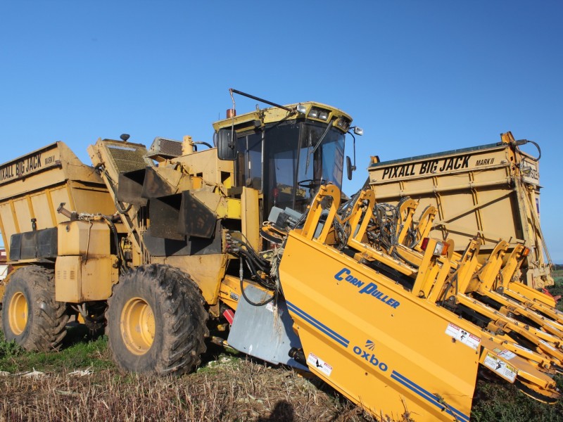 LINDENOW VEGETABLE FARM; MITCHELL RIVER VALLEY, Wuk Wuk VIC 3875