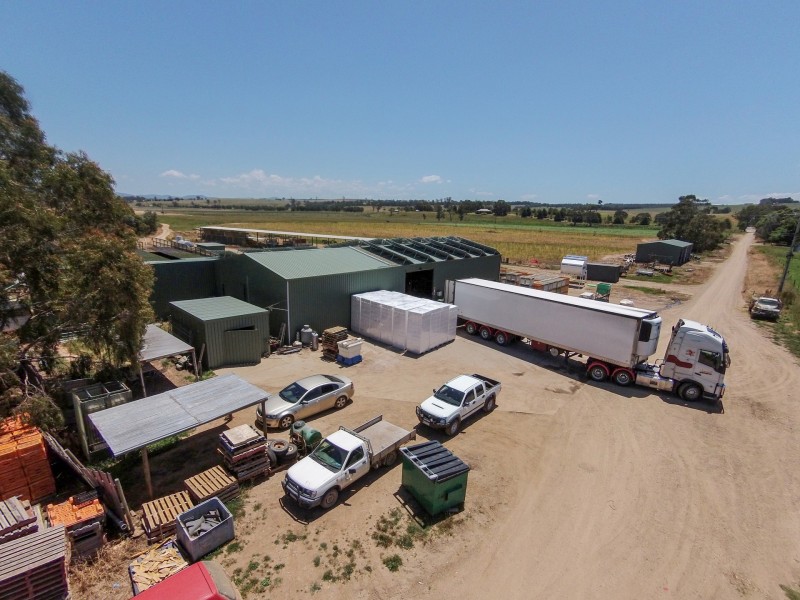 LINDENOW VEGETABLE FARM; MITCHELL RIVER VALLEY, Wuk Wuk VIC 3875