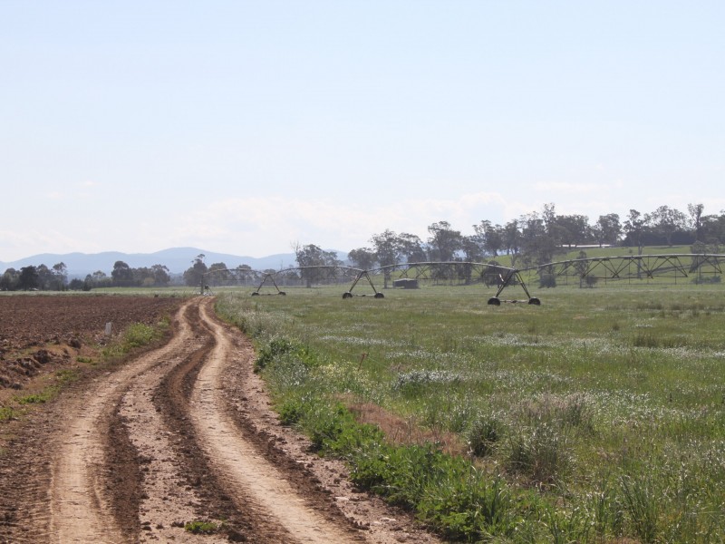 LINDENOW VEGETABLE FARM; MITCHELL RIVER VALLEY, Wuk Wuk VIC 3875