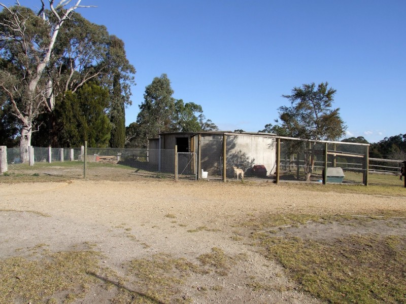 249 Great Alpine Road, Bruthen VIC 3885