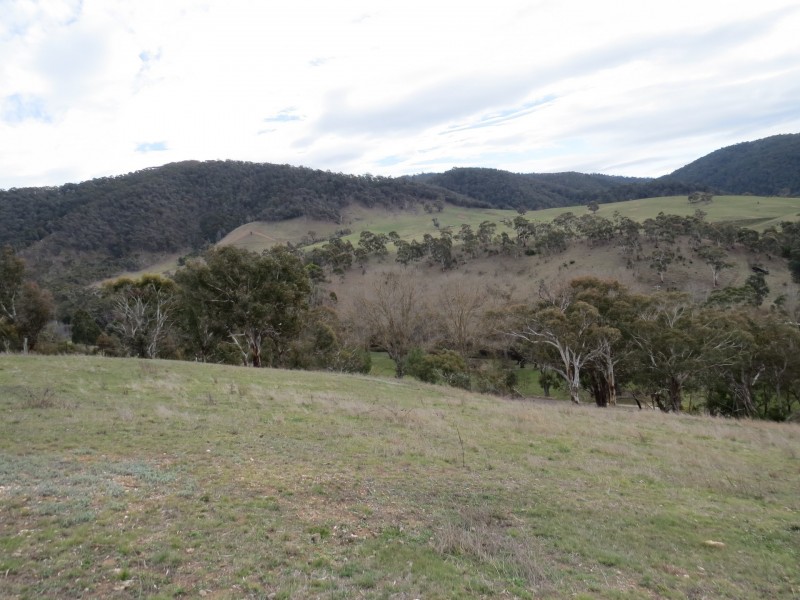 56 Day Avenue, Omeo VIC 3898