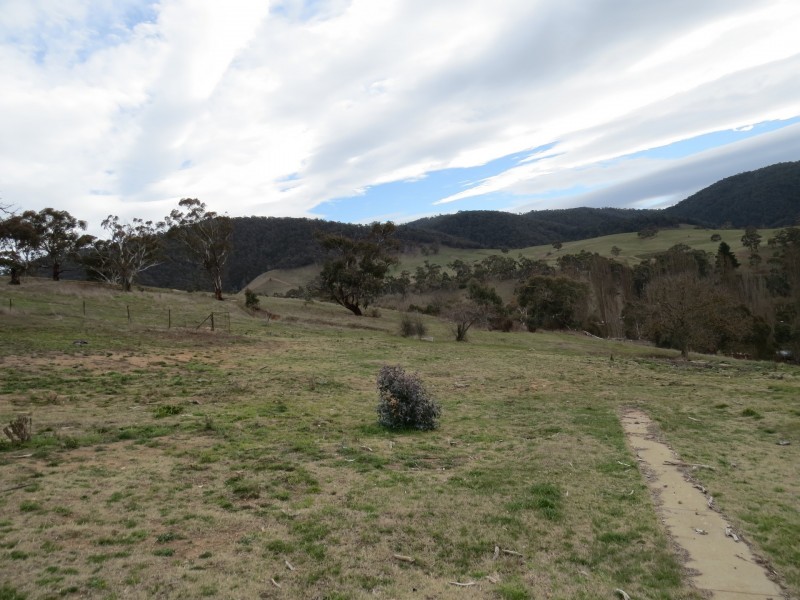 56 Day Avenue, Omeo VIC 3898