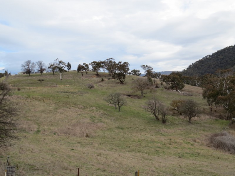 56 Day Avenue, Omeo VIC 3898