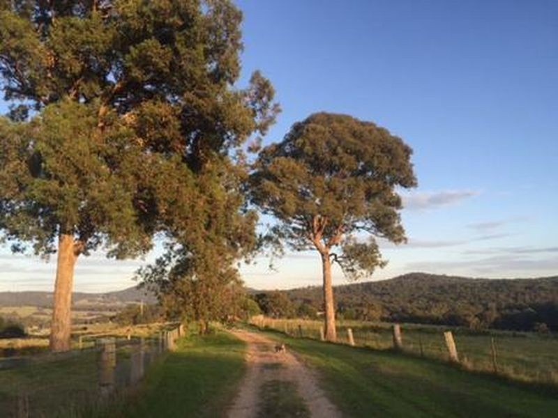 Clifton Creek VIC 3875