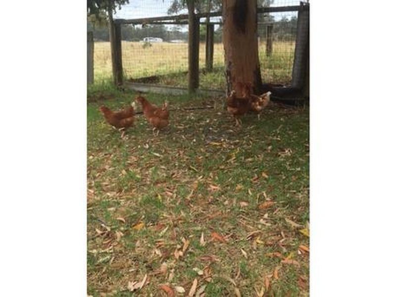 Clifton Creek VIC 3875
