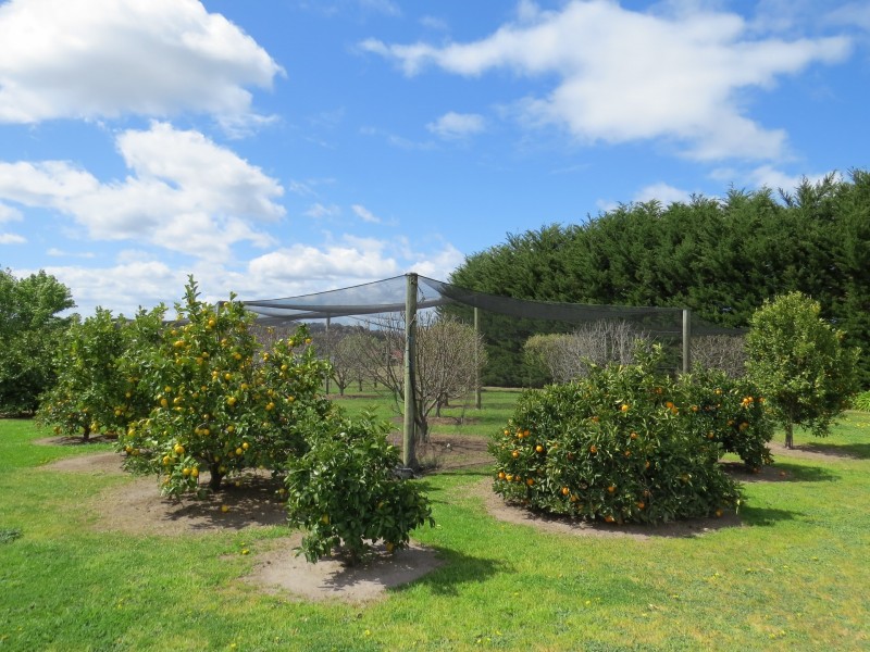 70 Swan Reach Road, Swan Reach VIC 3903