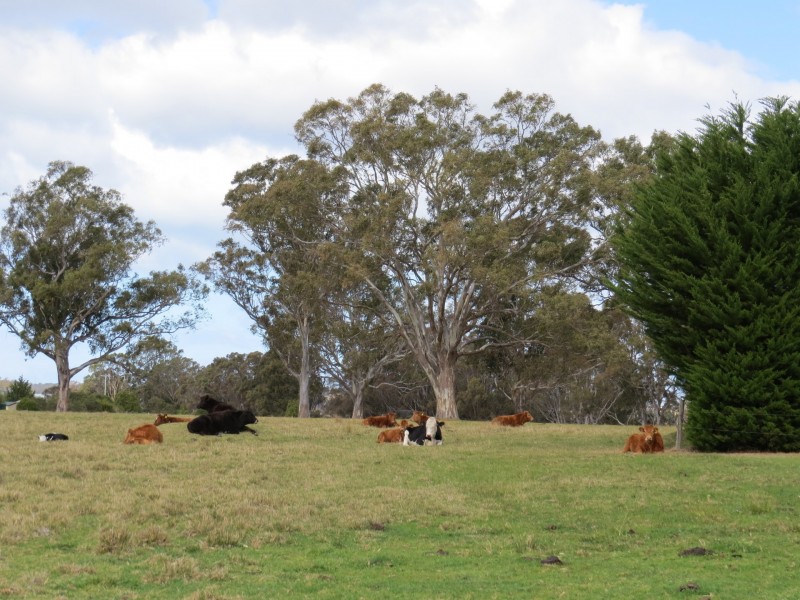 70 Swan Reach Road, Swan Reach VIC 3903