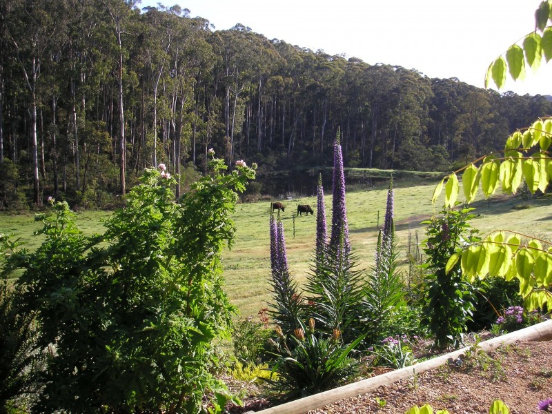500 Bellbird Road, Clifton Creek VIC 3875