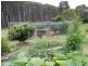 500 Bellbird Road, Clifton Creek VIC 3875