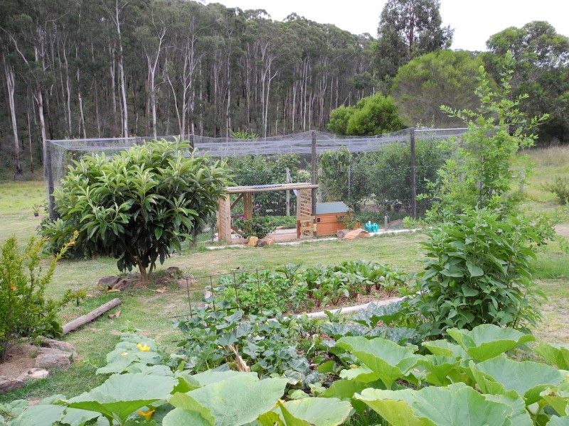 500 Bellbird Road, Clifton Creek VIC 3875