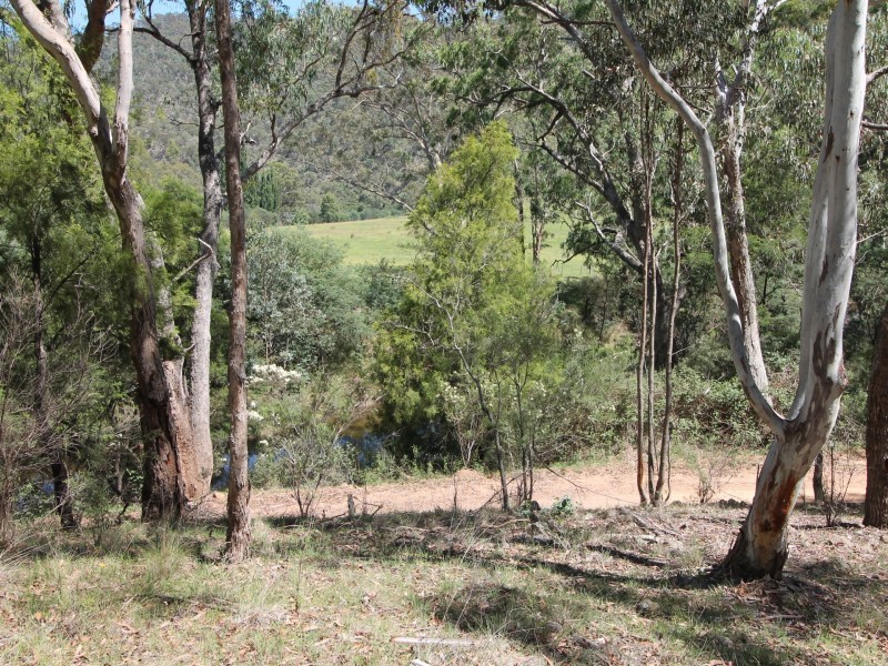 Lot 3  PS6 Lower Dargo Rd, Dargo VIC 3862