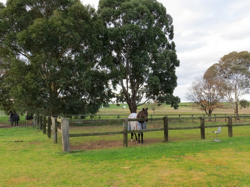 155 Broadlands Road, Bairnsdale VIC 3875