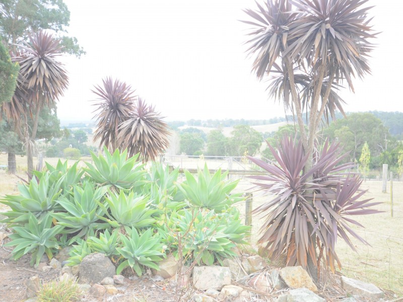 665 Deptford Road, Clifton Creek VIC 3875