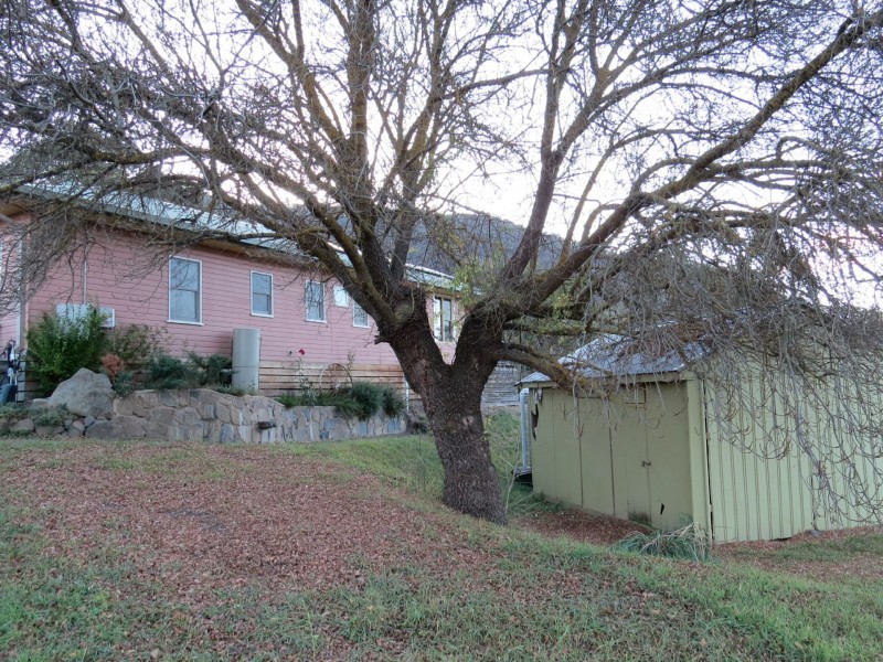 21 Creek Street, Omeo VIC 3898