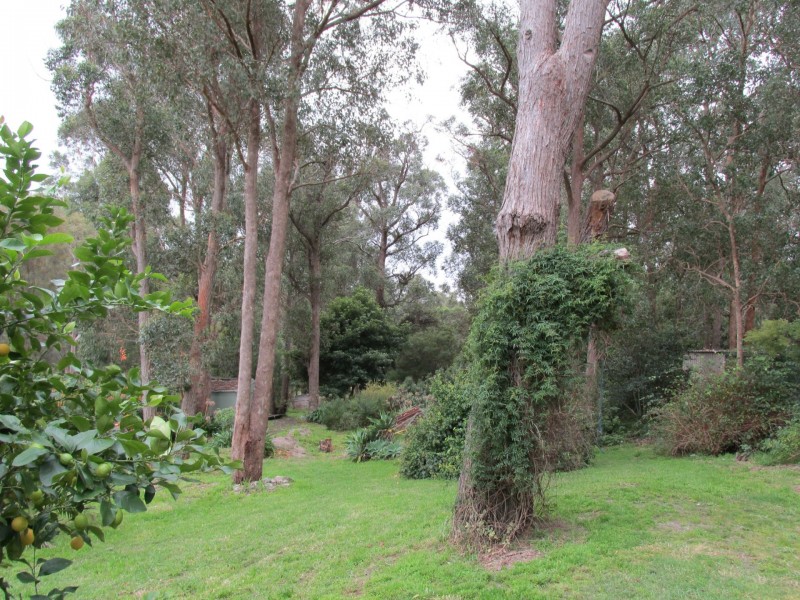 25 Sandy Street, Bruthen VIC 3885