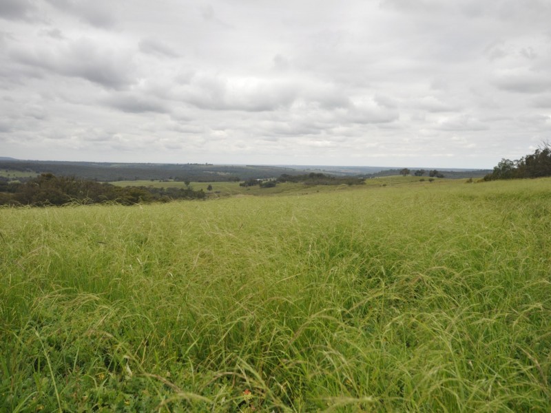 760 Friday Creek Road, Iguana Creek VIC 3875