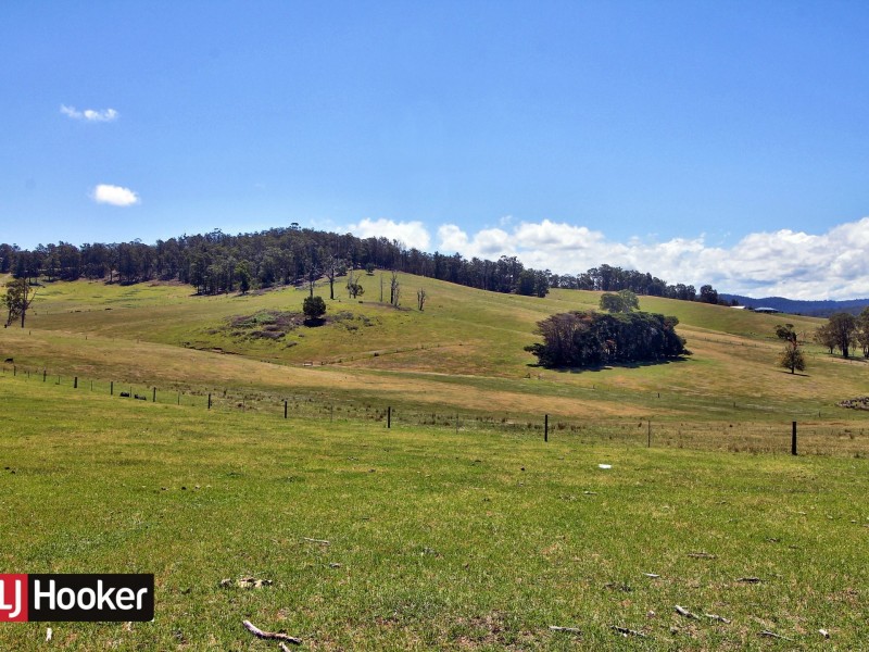 42 Nicholson Creek Road, Wiseleigh VIC 3885