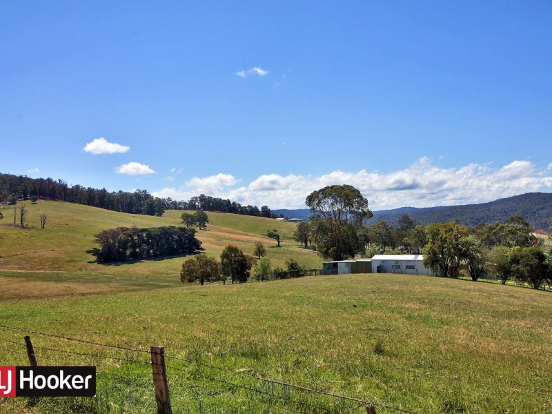 42 Nicholson Creek Road, Wiseleigh VIC 3885