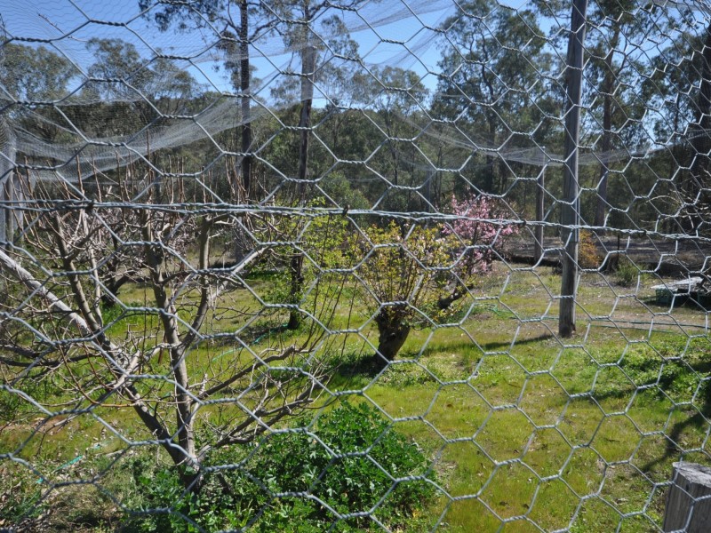 325 Bellbird Road, Clifton Creek VIC 3875