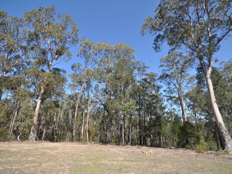 325 Bellbird Road, Clifton Creek VIC 3875