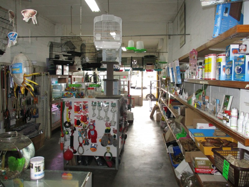 30 Service Street, Bairnsdale VIC 3875