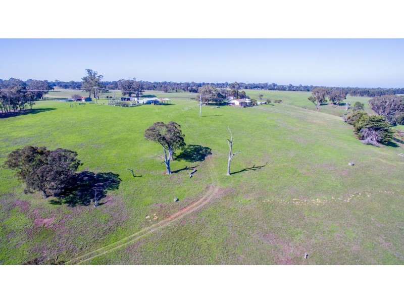 65 Waddells Road, Nicholson VIC 3882