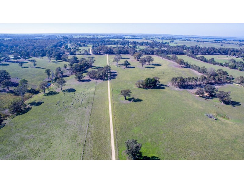 65 Waddells Road, Nicholson VIC 3882