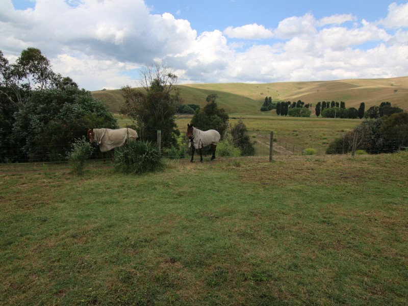 222 Omeo Valley Road, Omeo VIC 3898