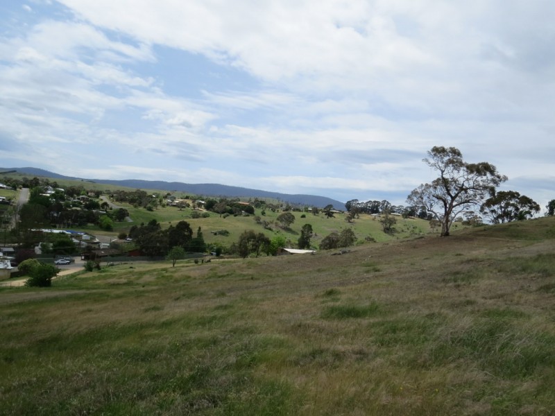 1 Wills Street, Omeo VIC 3898