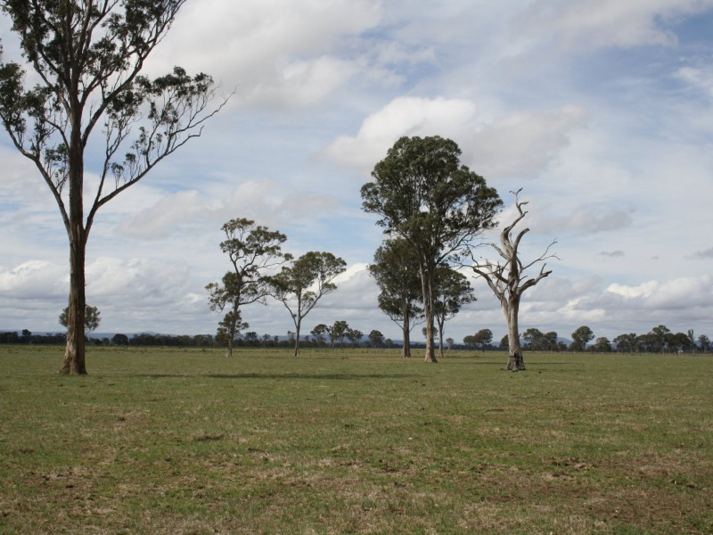 800 Fernbank-Lindenow South Road, Fernbank VIC 3864