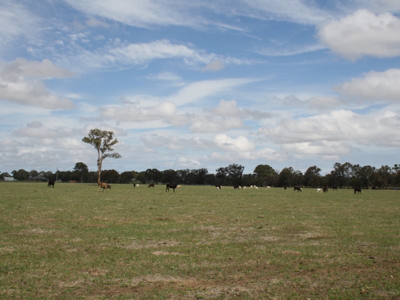 800 Fernbank-Lindenow South Road, Fernbank VIC 3864