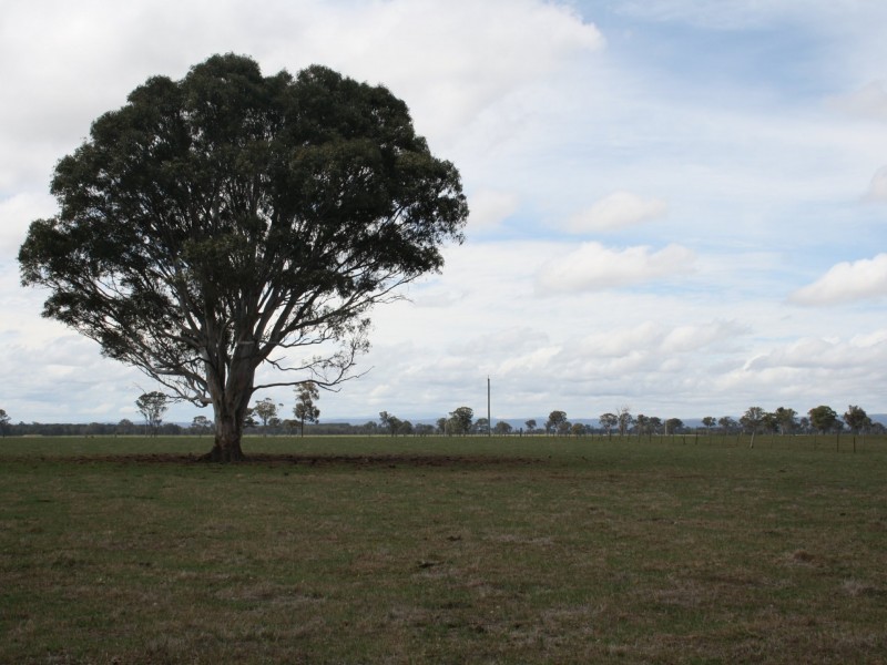 800 Fernbank-Lindenow South Road, Fernbank VIC 3864