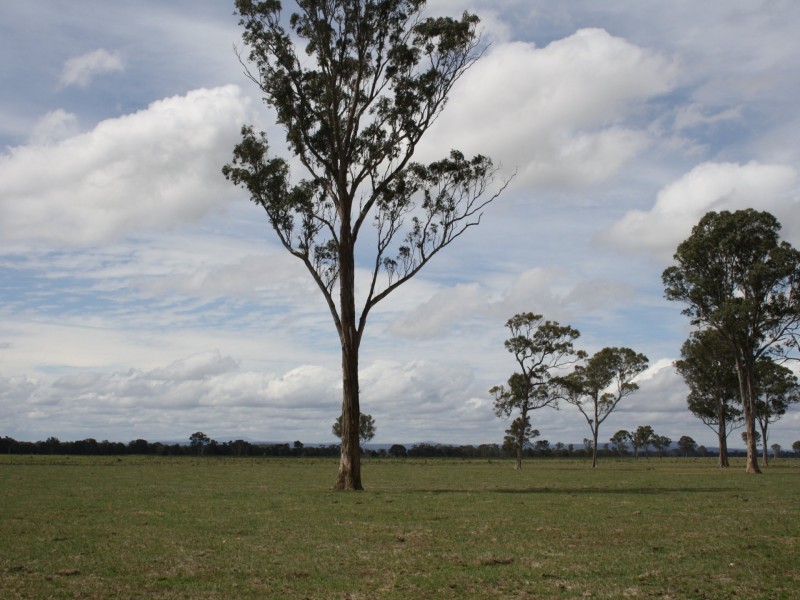 800 Fernbank-Lindenow South Road, Fernbank VIC 3864