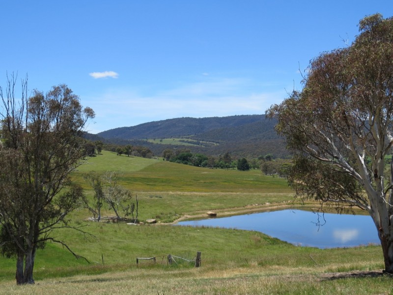 155 McKinnons Road, Benambra VIC 3900