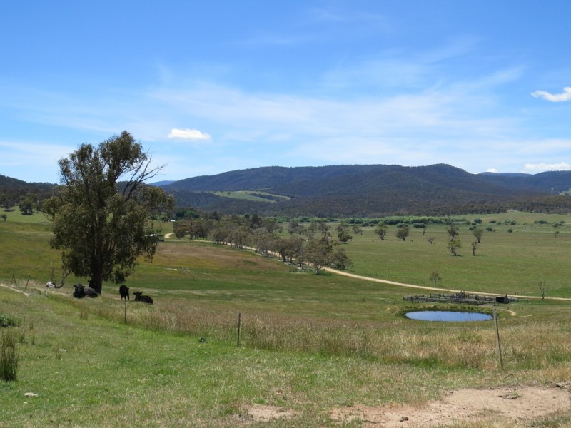 155 McKinnons Road, Benambra VIC 3900