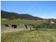 155 McKinnons Road, Benambra VIC 3900