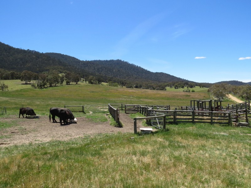 155 McKinnons Road, Benambra VIC 3900