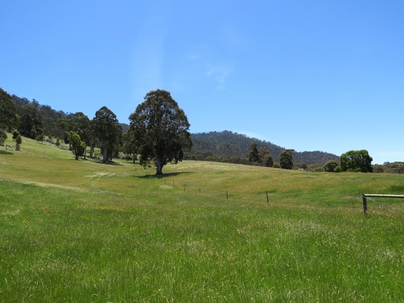 155 McKinnons Road, Benambra VIC 3900