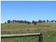 155 McKinnons Road, Benambra VIC 3900