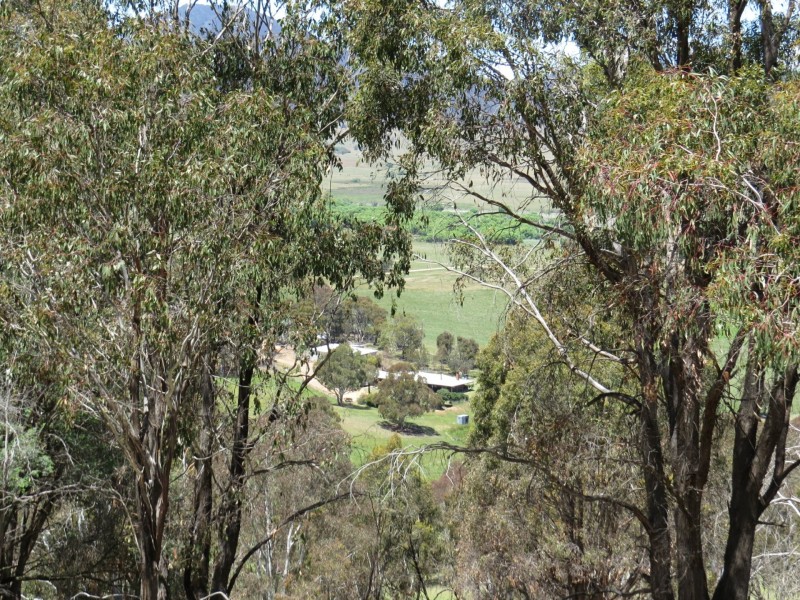 155 McKinnons Road, Benambra VIC 3900