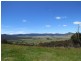 155 McKinnons Road, Benambra VIC 3900