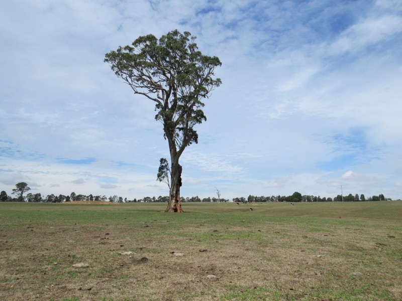16 Calverts Road, Hillside VIC 3875
