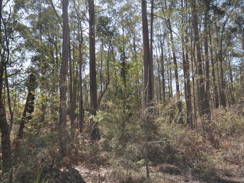 94 Eleven Mile Road, Sarsfield VIC 3875